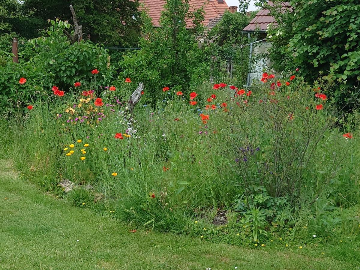 Ferienhof-Rietschen-Neuliebel Luaran gambar