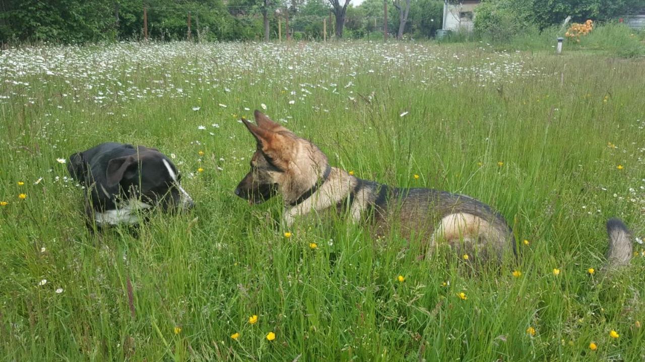 Ferienhof-Rietschen-Neuliebel Luaran gambar