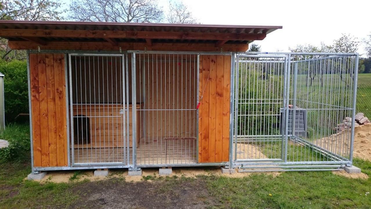 Ferienhof-Rietschen-Neuliebel Luaran gambar